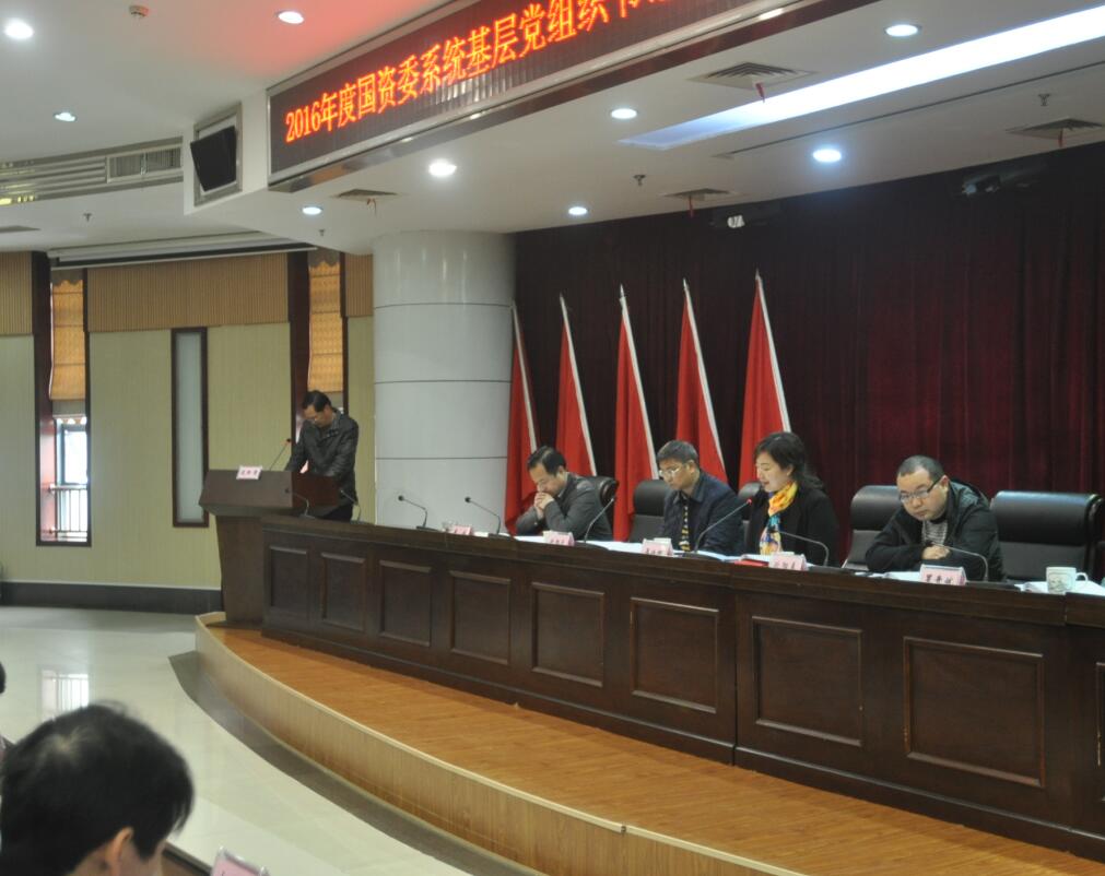 市国资委召开2016年度领导干部民主生活会情况通报会暨国资委系统基层党组织书记履行党建工作责任制述职评议会