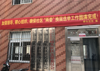 芦淞区积极开展村（居）民委员会 换届选举宣传工作