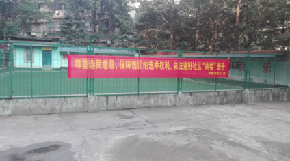 芦淞区积极开展村（居）民委员会 换届选举宣传工作