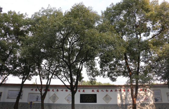 新春伊始，建宁街道展现“万紫千红总是春”的文艺新气