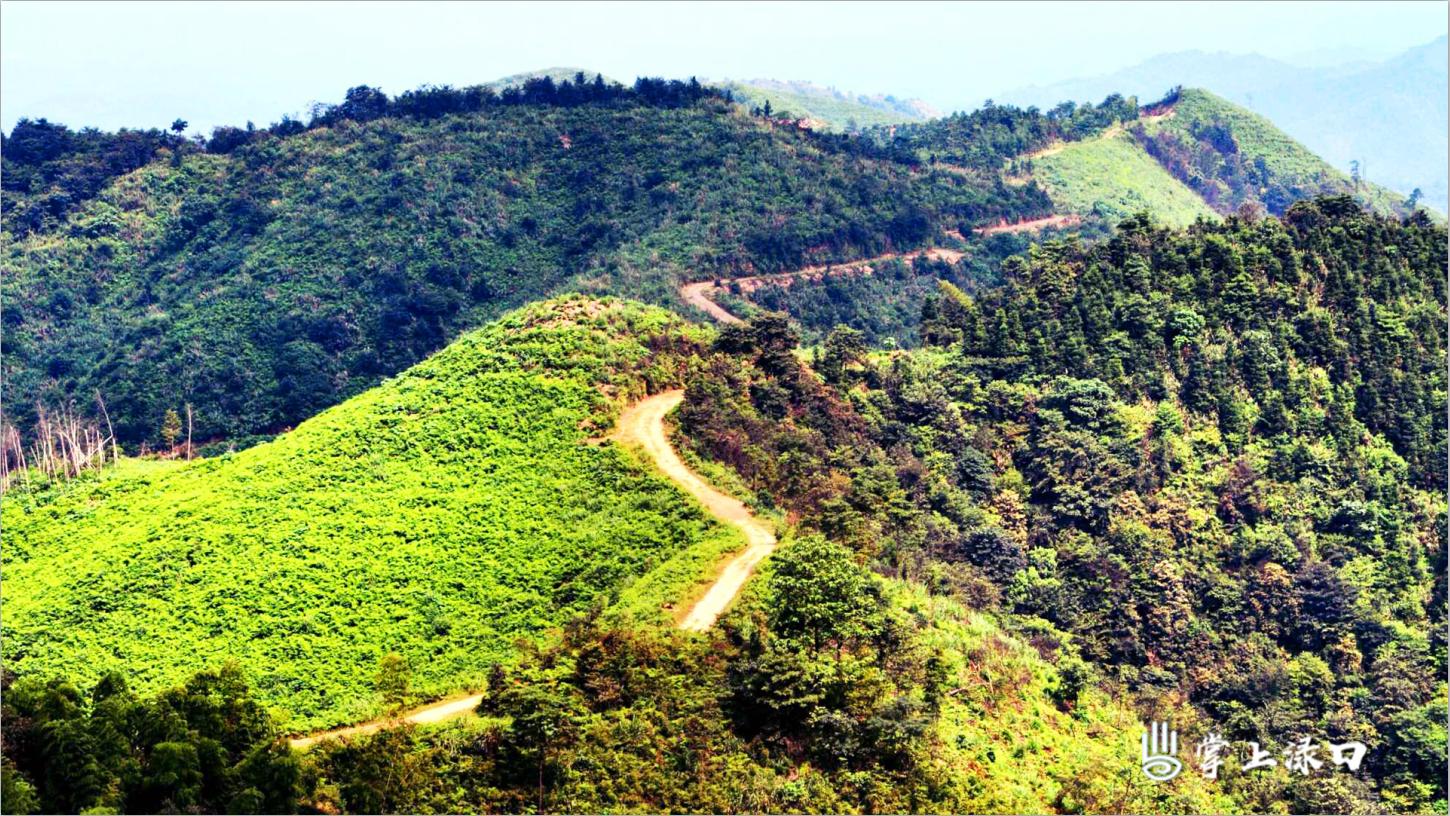 走进军山