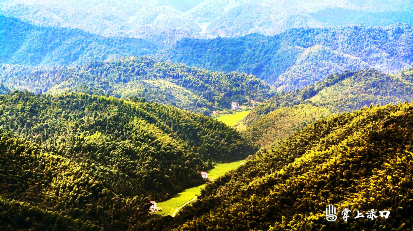 走进军山