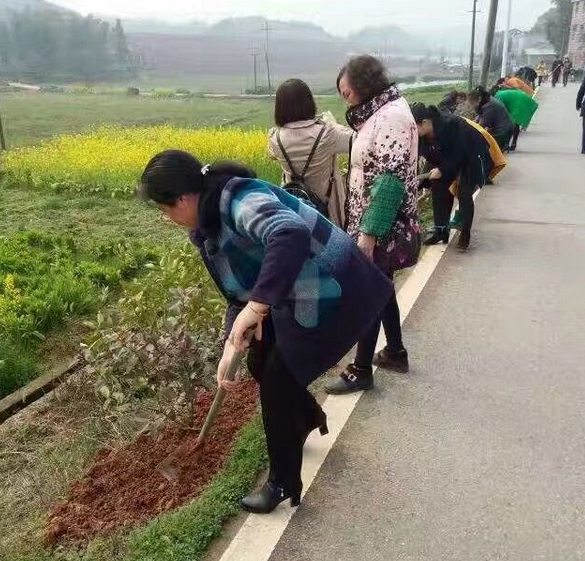 天元区雷打石镇的“半边天”们活动真丰富
