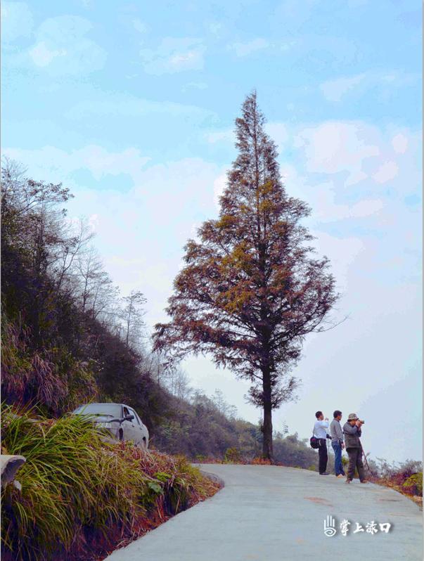 走进军山