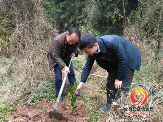 皇图岭镇政府为贫困户送果树苗助力脱贫