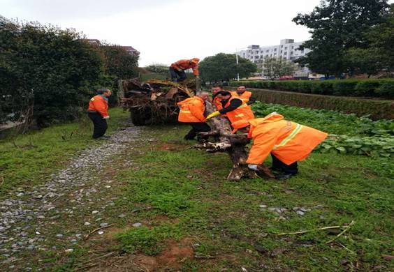 攸县城市管理和行政执法局环境卫生管理处开展城区垃圾死角、盲区清理行动