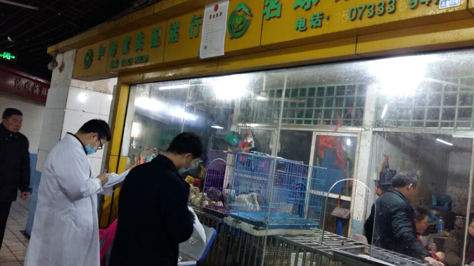 芦淞区开展H7N9禽流感防控检查