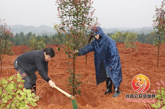 县民政局积极参与全县植树活动