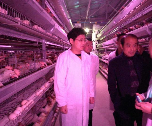 攸县：周文安率队督查动物H7N9流感防控工作