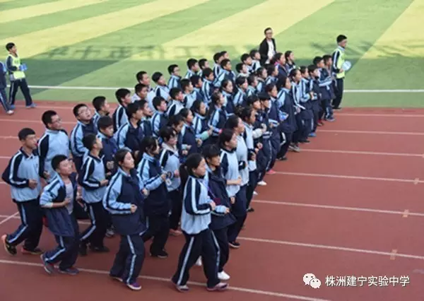 清晨，建宁校园里的“小白鹤”