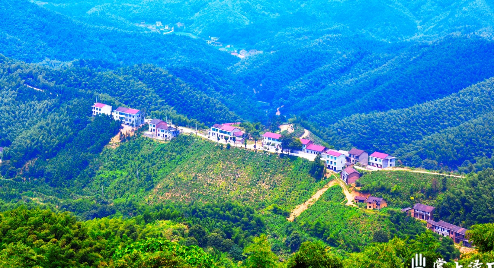 登凤凰山