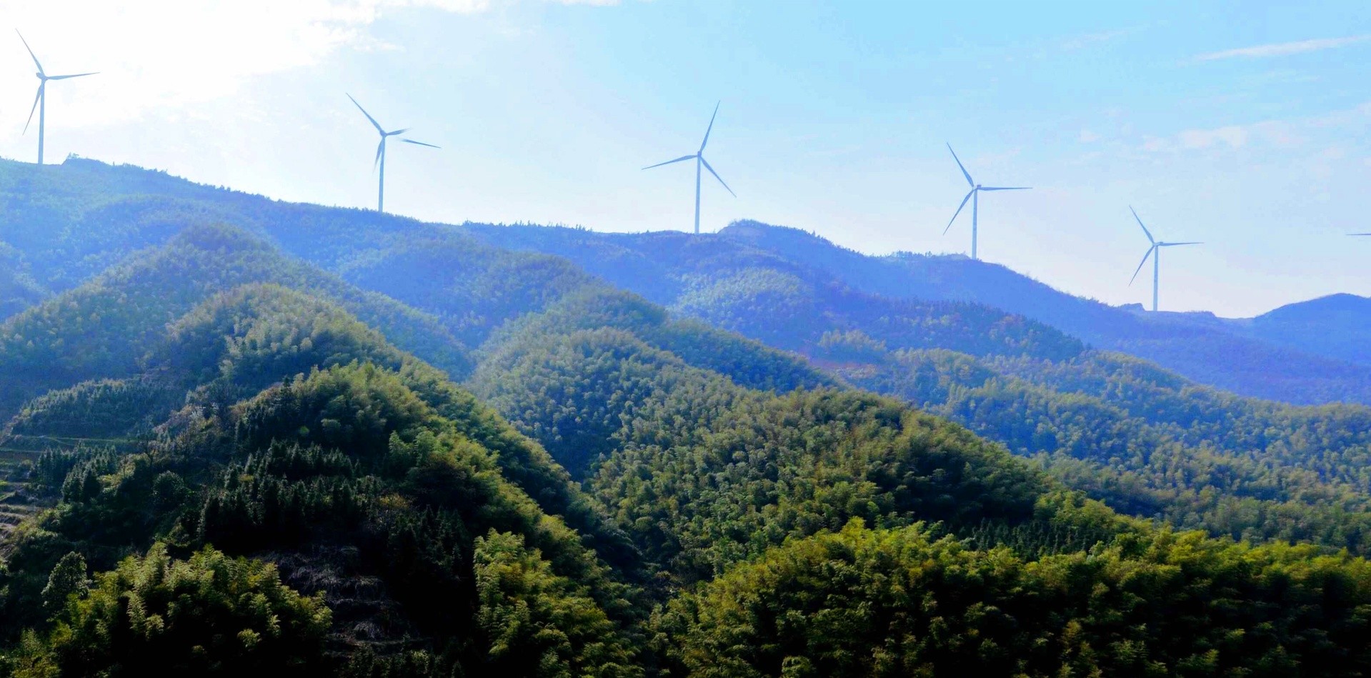登凤凰山