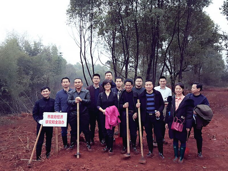 植树护绿 市政府经济金融办在行动
