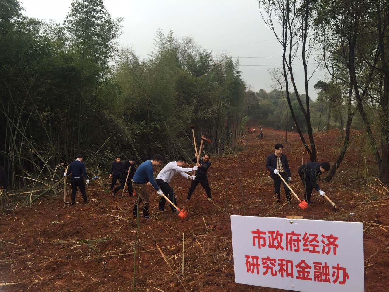 植树护绿 市政府经济金融办在行动