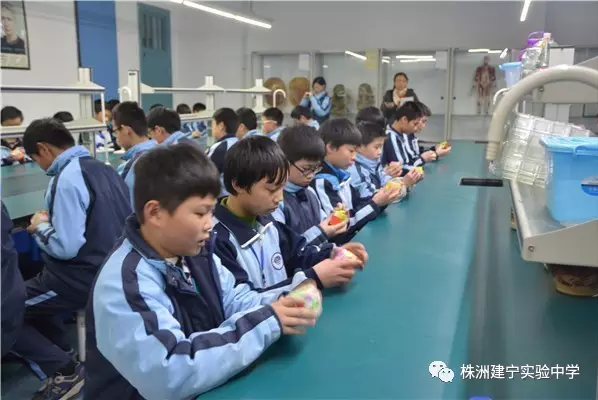 建宁实验中学科技节，孩子们的技能绽放场