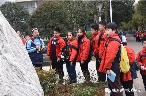 清晨，建宁校园里的“小白鹤”