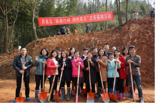 区城建局积极参与义务植树活动