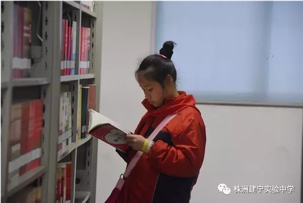 清晨，建宁校园里的“小白鹤”