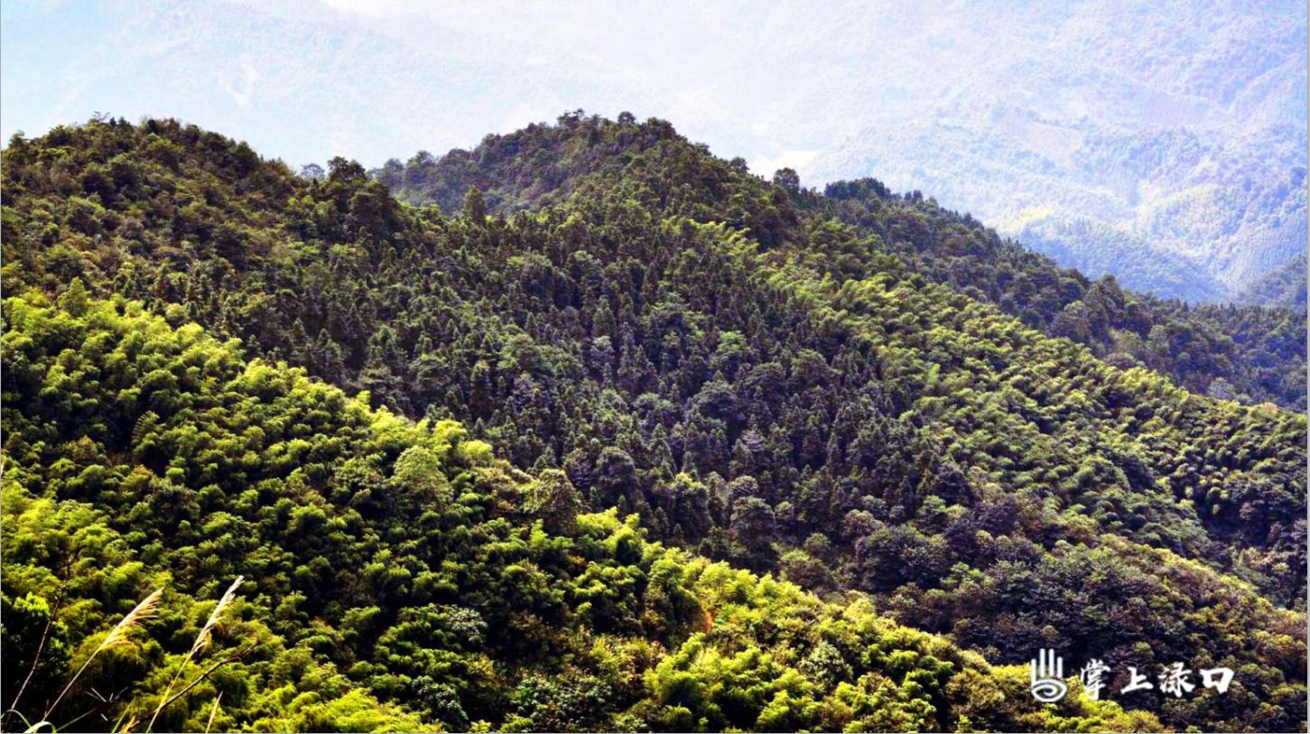 走进军山