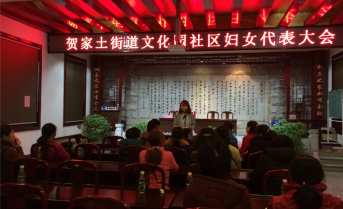 贺家土街道社区妇联换届选举工作圆满完成