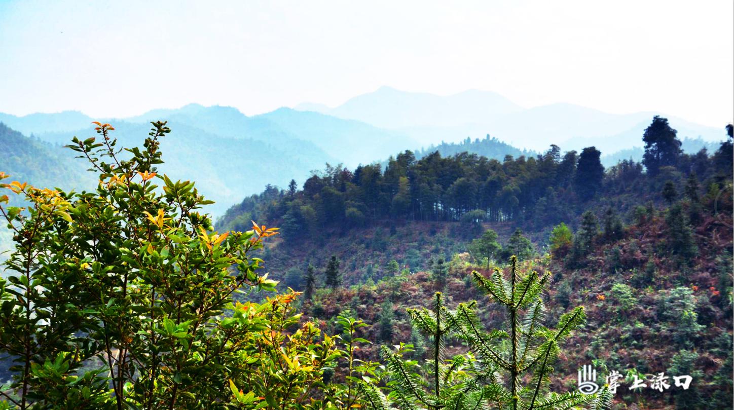 走进军山
