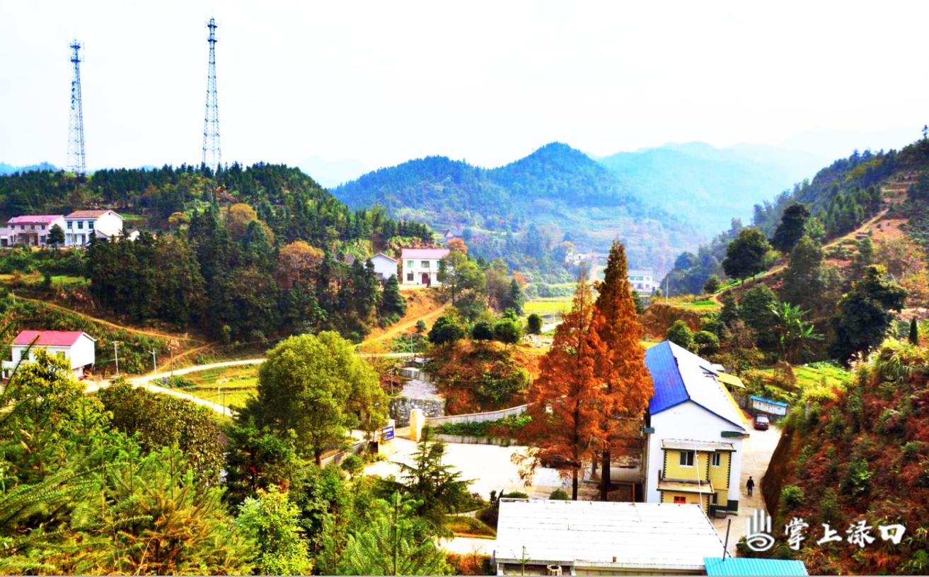 走进军山