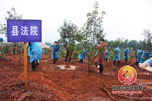 攸县法院参加义务植树活动