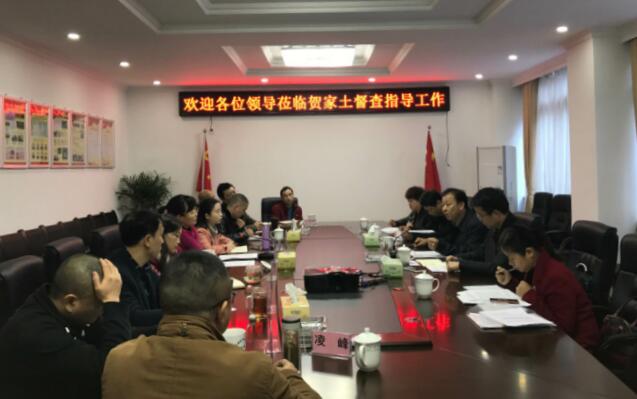 区委常委、常务副区长稂水云一行督查指导贺家土社区“两委”换届选举和党建工作