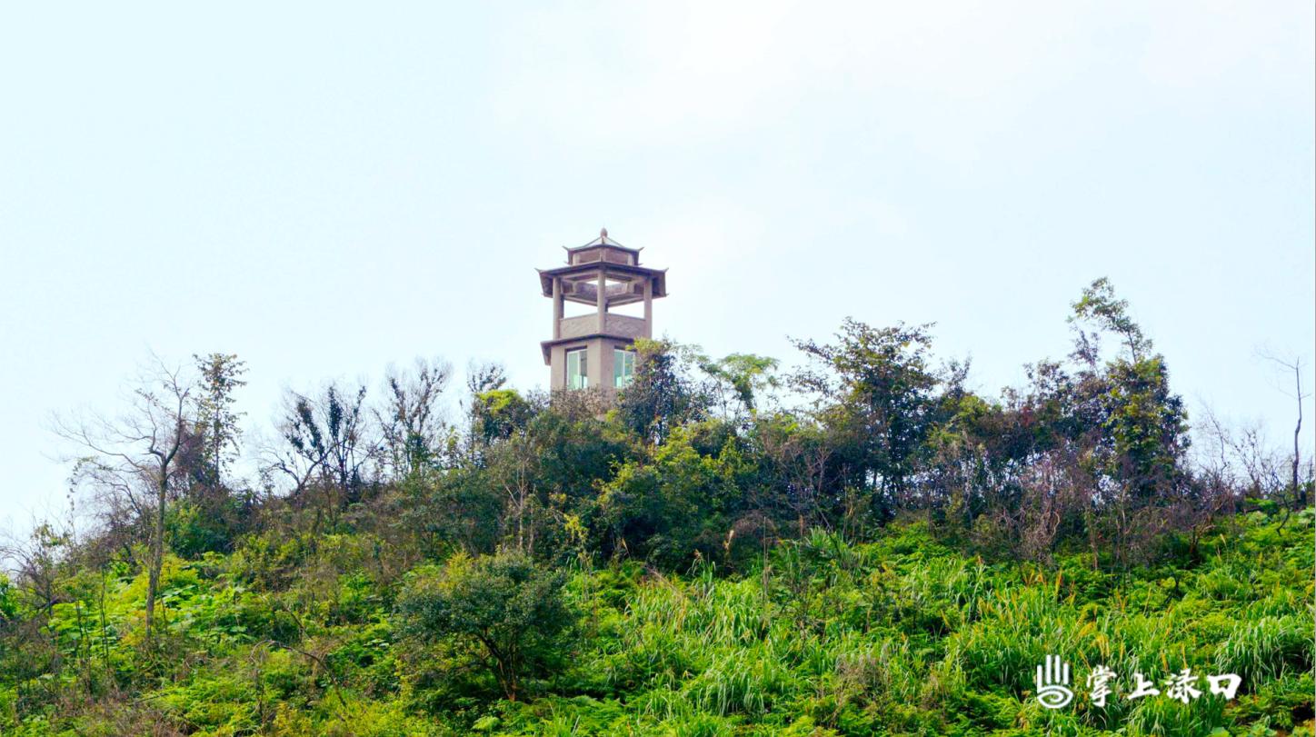走进军山