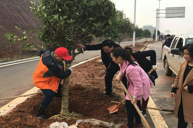 县卫计局开展义务植树活动