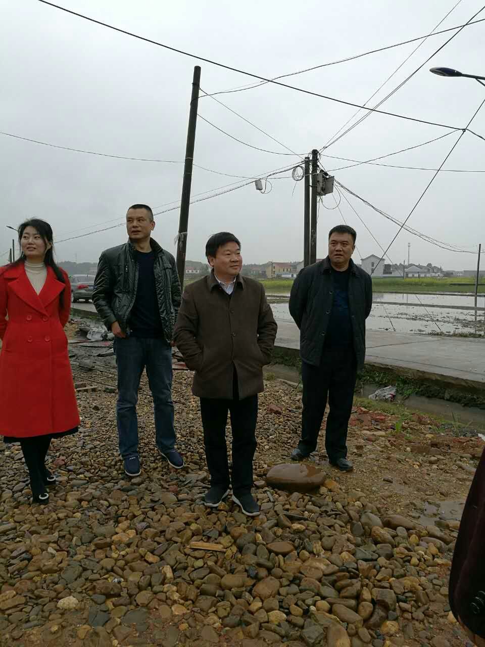 李子善到新市镇检查指导村两委换届工作