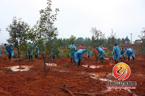 攸县法院参加义务植树活动