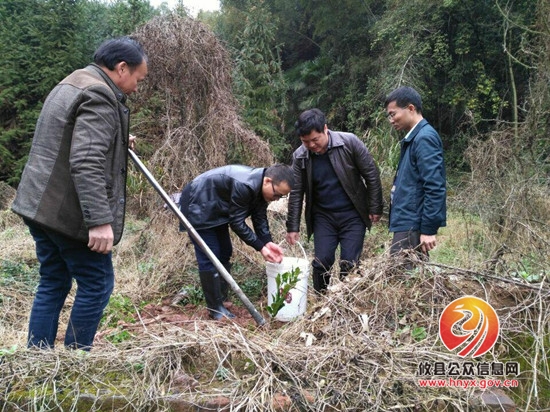 皇图岭镇政府为贫困户送果树苗助力脱贫
