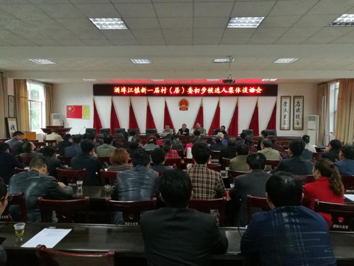 酒埠江镇召开新一届村(居)委初步候选人集体谈话会