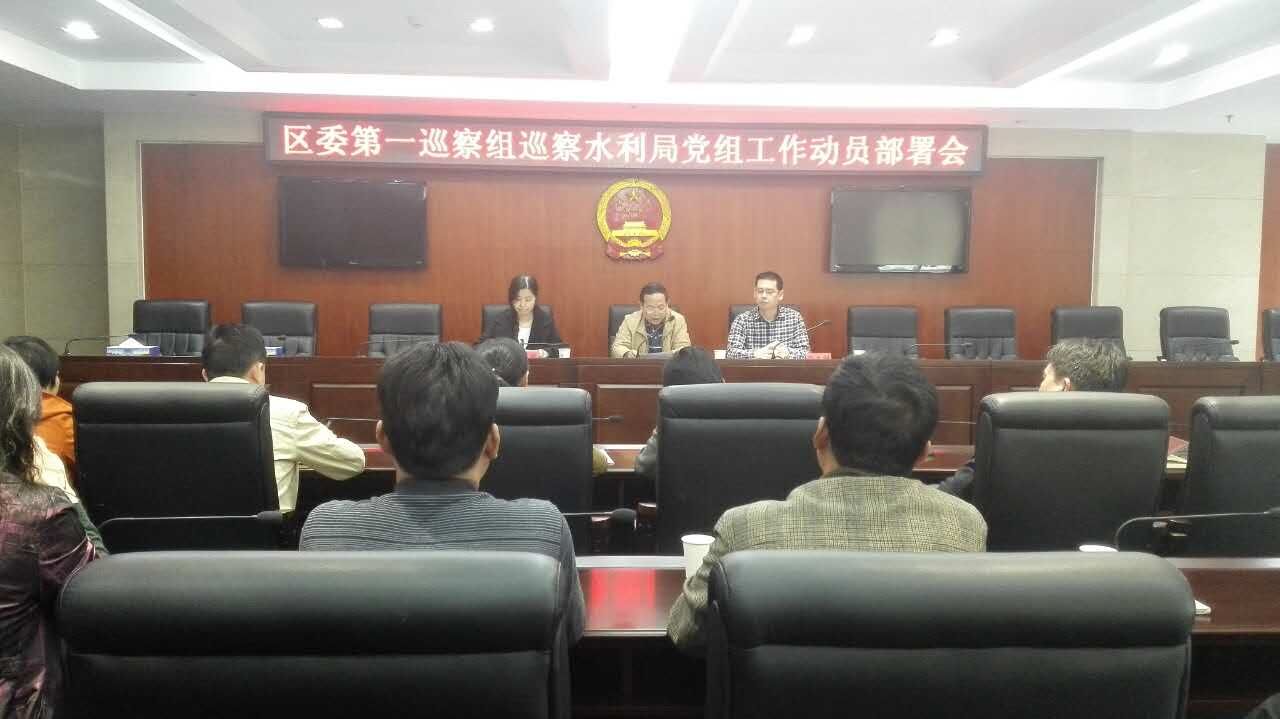 区委第一巡察组巡察水利局