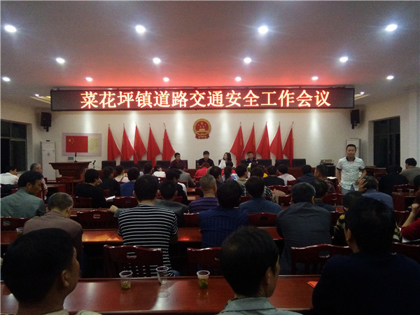 菜花坪镇召开全镇道路交通安全工作会议