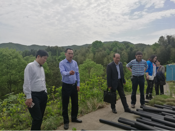 市林业局检查我区项目使用林地工作