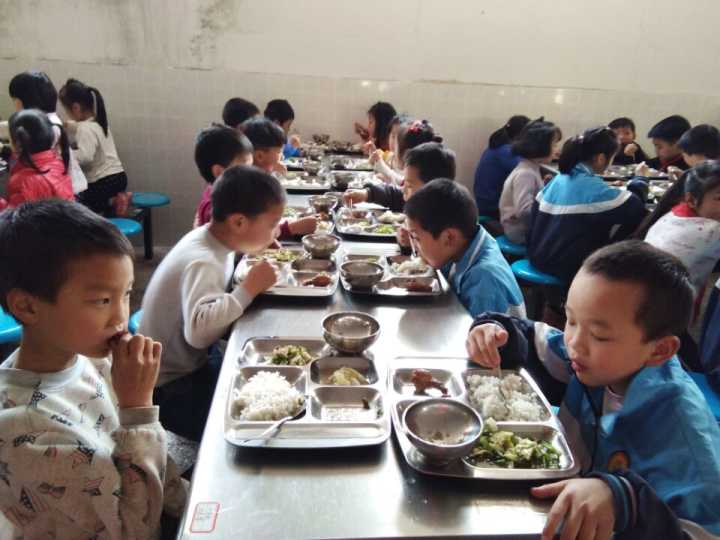 天元区农村中小学校实行免费午餐