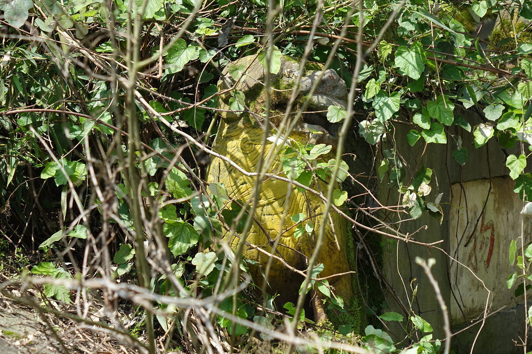 王十万老街后山麻园岭发现淞沪抗战烈士墓