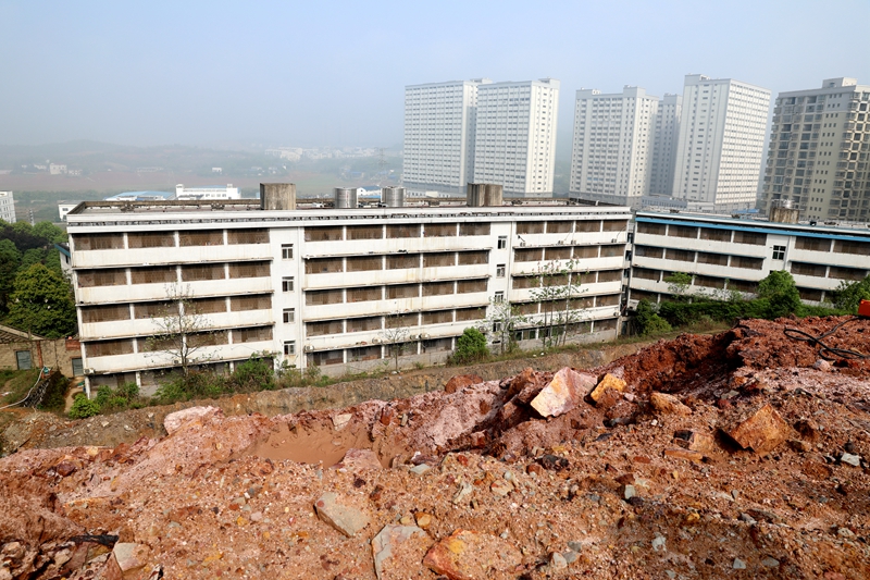 局党组书记、局长何安国一行查看株洲县地灾隐患点