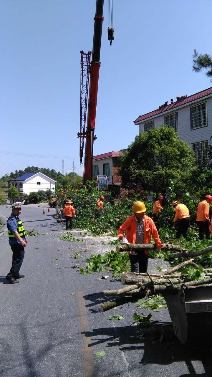 攸县公路养护中心应急清理危树 消除安全隐患