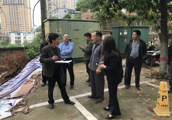 副区长姚艺一行到龙泉街道荷叶冲社区现场查看江南世家护坡垮塌情况