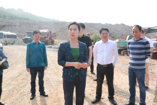 茶陵县委副书记、县长江小忠迅速抓好交办环境问题整改落实