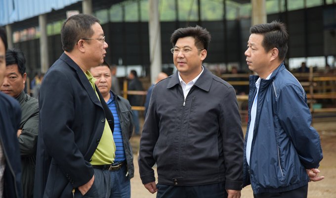 马上就办:付访华带队督办中央环保督察转办件