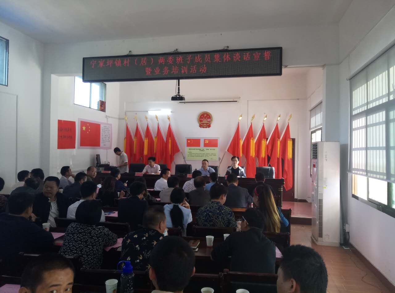 宁家坪镇开展村（居）“两委”班子成员集体谈话宣誓暨业务培训活动