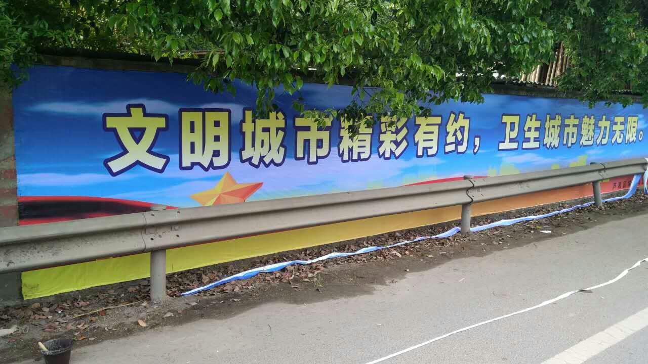 芦淞城管为全国企业家活动日暨中国企业家年会通用航空高峰论坛市容环境卫生保驾护航