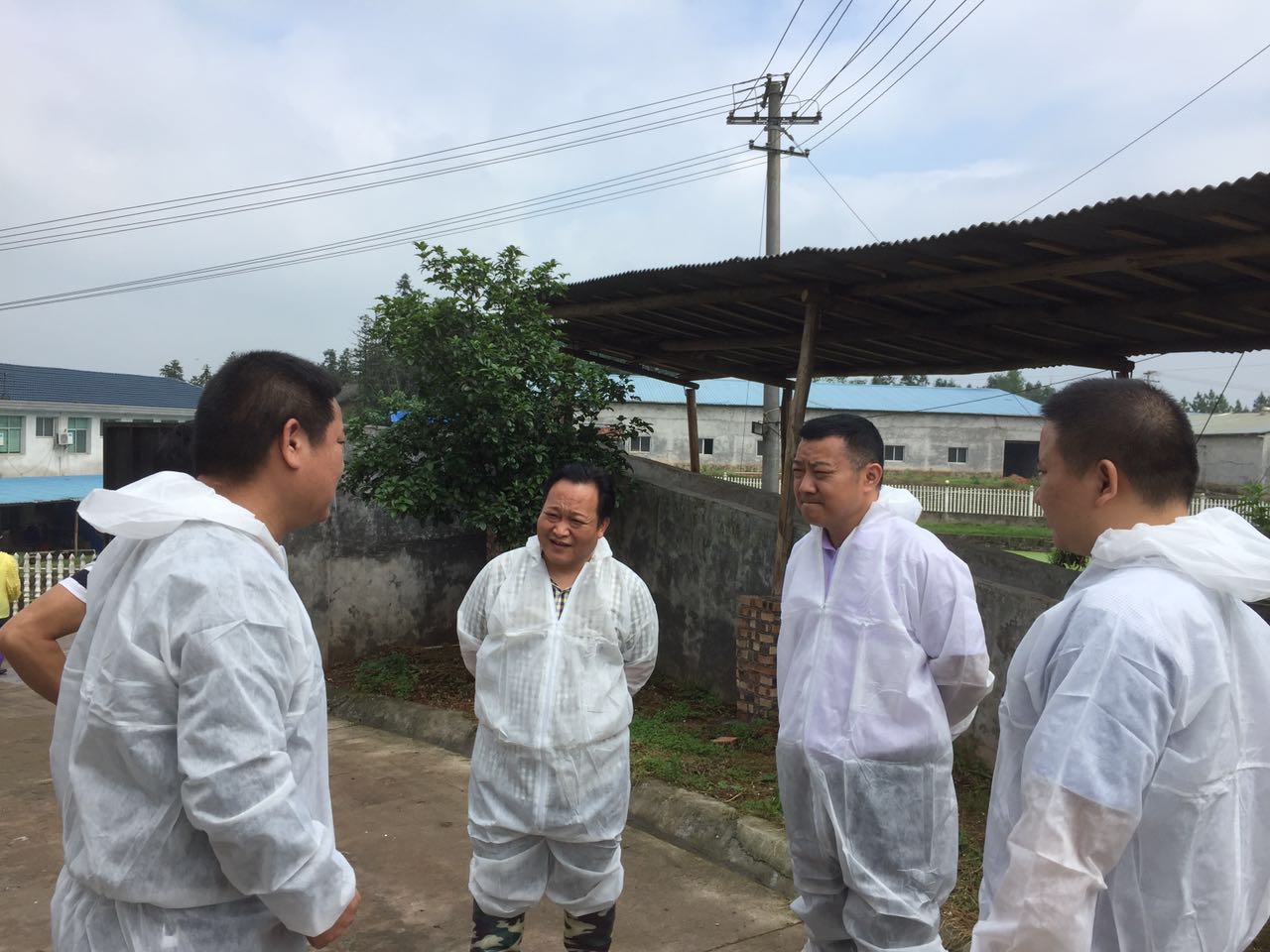 环保督查，立行立改