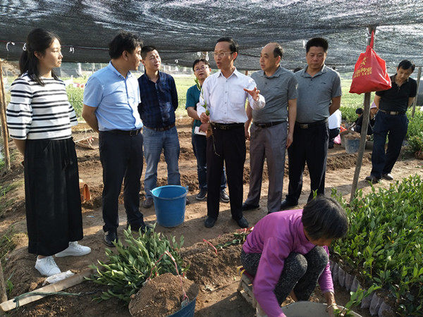 省林业厅宋自力一行来攸调研油茶育苗产业