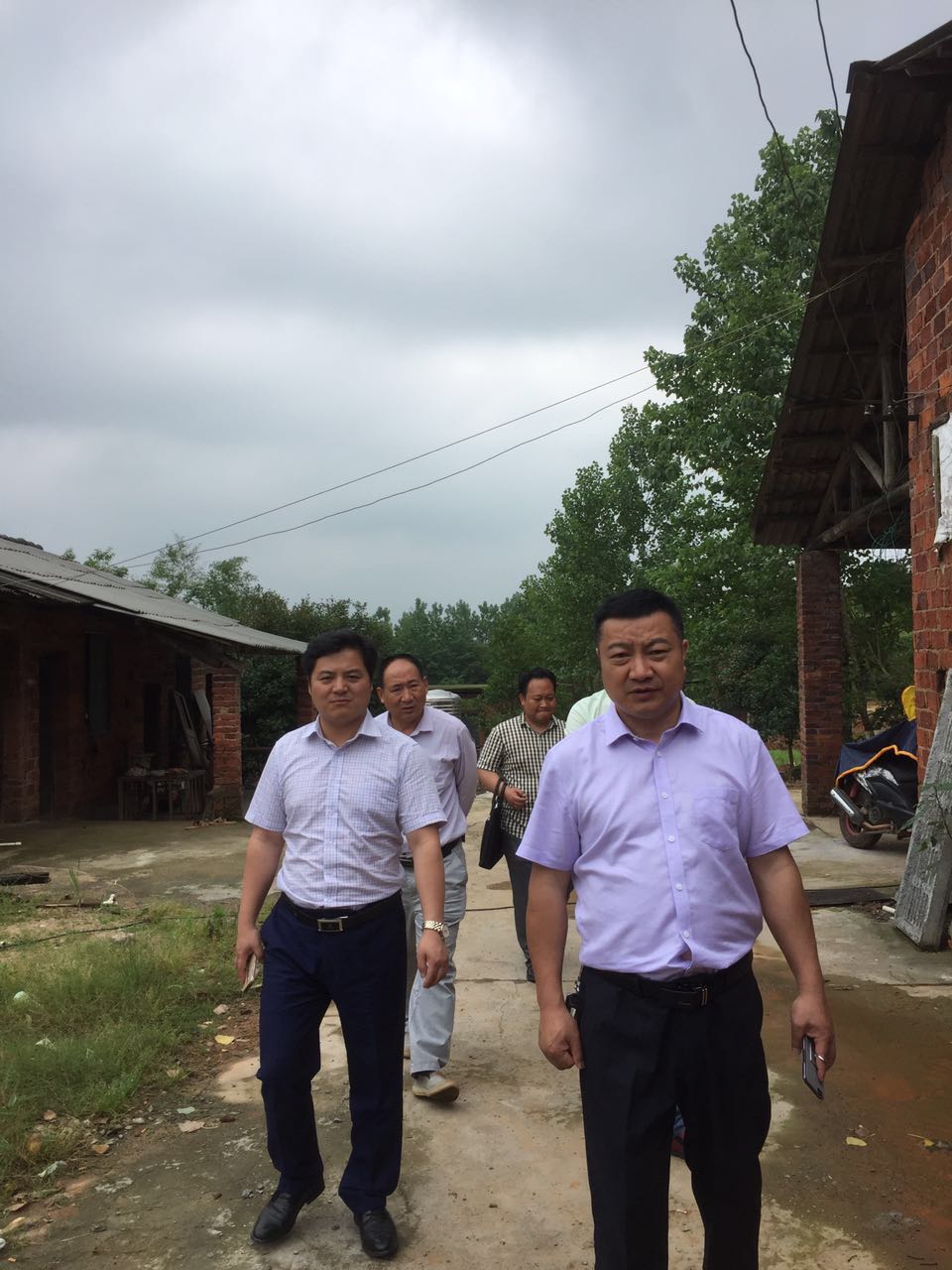 环保督查，立行立改