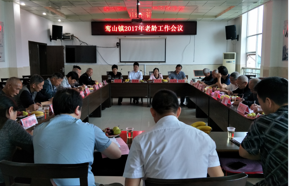 攸县老协常务副主席夏玉珠到鸾山指导老龄工作
